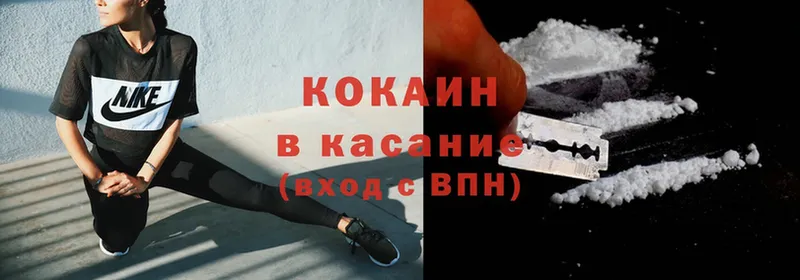 дарнет шоп  Котельнич  Cocaine Fish Scale 